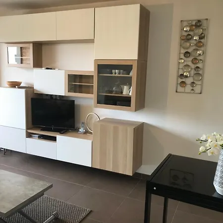 Standing Piscine Vue * Porto Vecchio